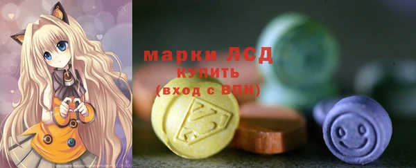 хмурый Кодинск