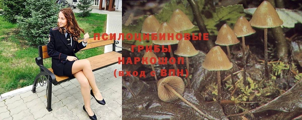 spice Козельск