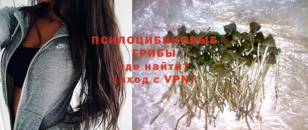 spice Козельск