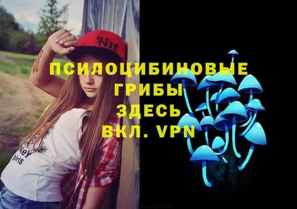 хмурый Кодинск