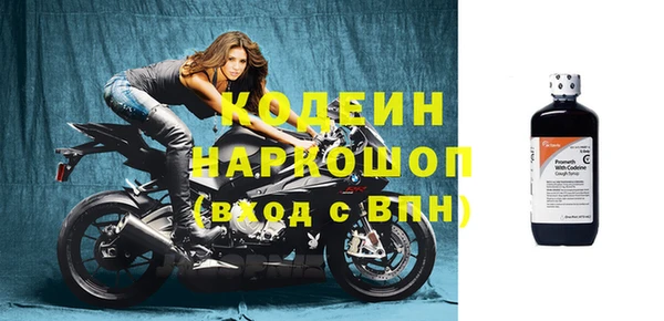 хмурый Кодинск