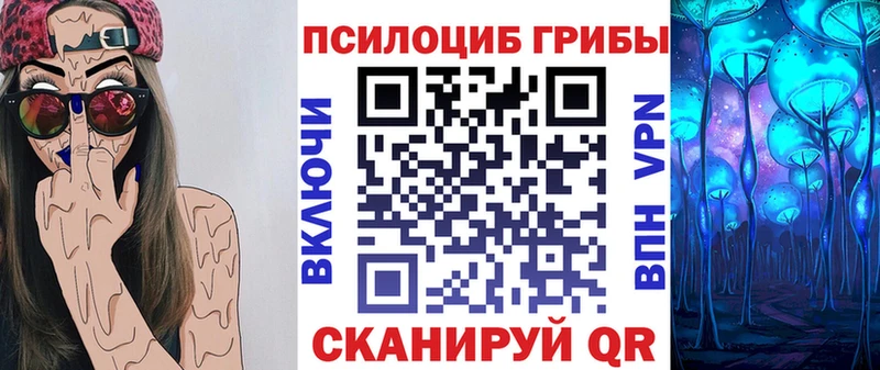 Купить закладки  Городище  Галлюциногенные грибы Cubensis 